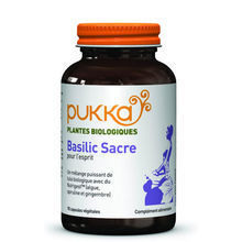 Basilic sacr&eacute; Tulsi - Pour l'esprit