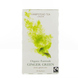 Th&eacute; Vert au Gingembre en sachets