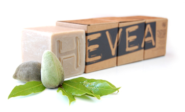 Cosmétique bio de luxe fraîchement préparée Hevea