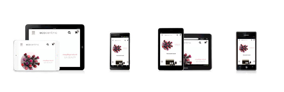 Lancement de la version mobile d'Ecocentric !