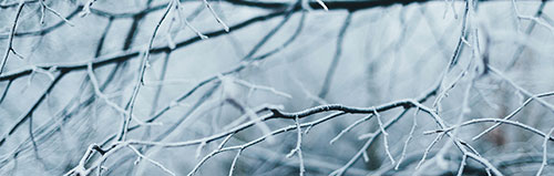 Booster ses défenses immunitaires pendant l’hiver ! Booster ses défenses immunitaires pendant l’hiver !