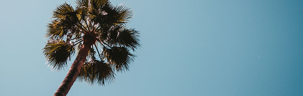 Comment prendre soin de sa peau face à la canicule ?