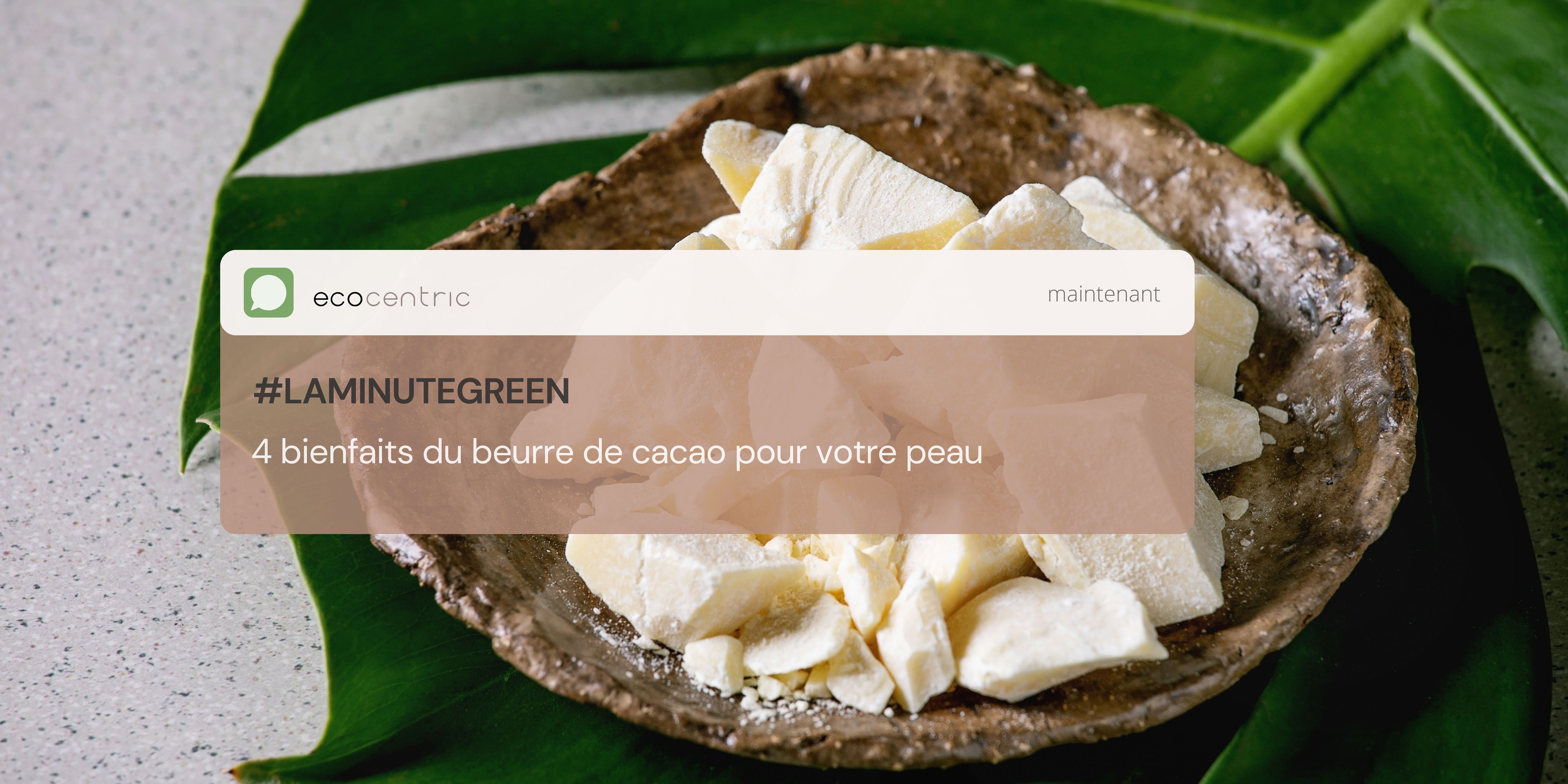 4 bienfaits du beurre de cacao pour votre peau 4 bienfaits du beurre de cacao pour votre peau