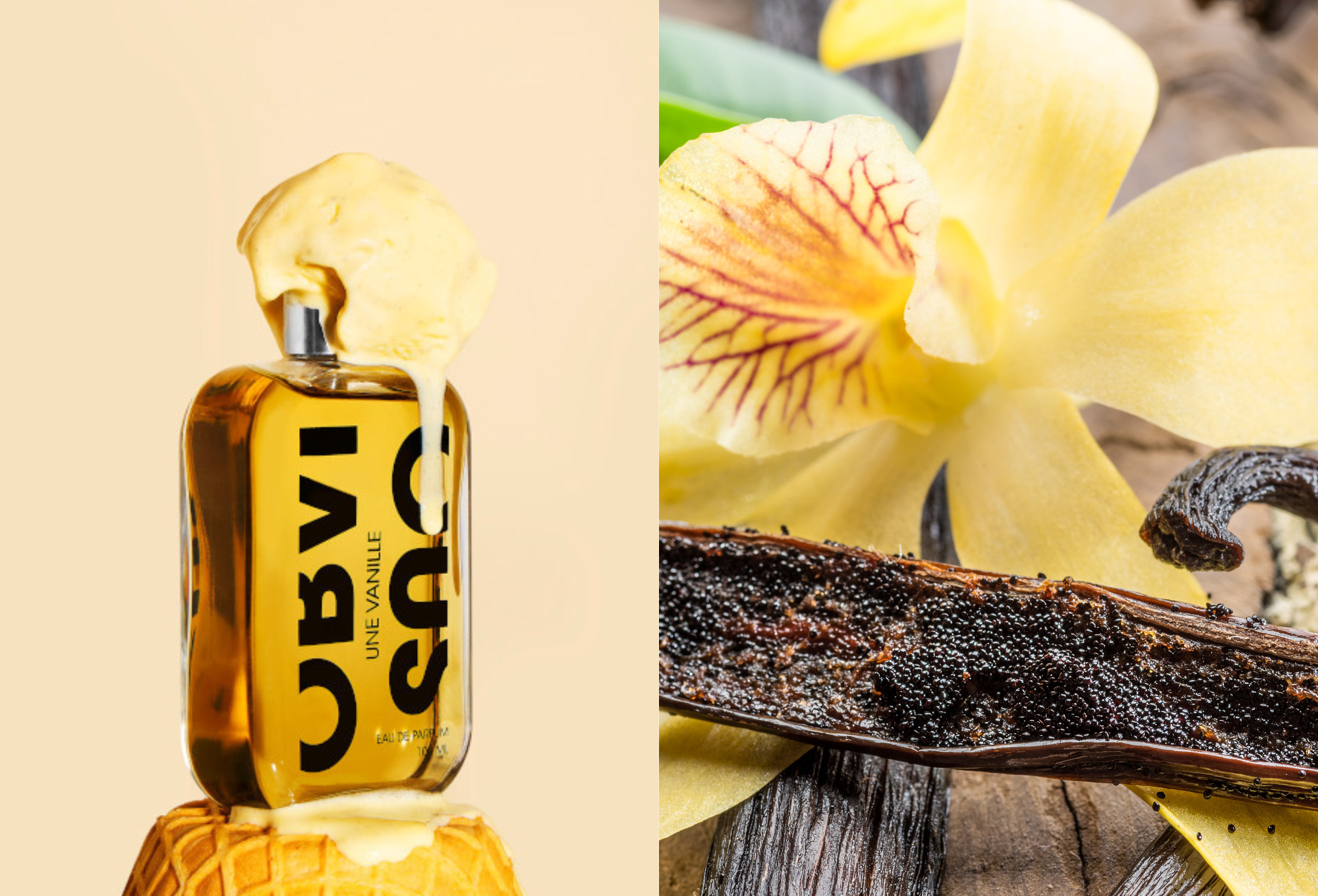 Parfums de niche à la vanille : entre douceur, sensualité et sophistication Parfums de niche à la vanille : entre douceur, sensualité et sophistication
