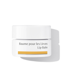Baume pour les lèvres Dr. Hauschka - Baume bio pour les lèvres