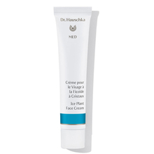 Crème pour le visage à la Ficoïde à cristaux Dr. Hauschka Med - Crème pour le visage à la Ficoïde à cristaux