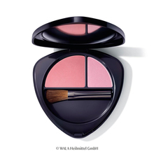 Duo blush 02 - Pêche dewy Duo blush 02 - Pêche dewy
