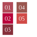 Dr. Hauschka - Crayon Contour des lèvres bio 02 - Hibiscus boisé
