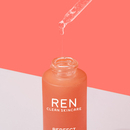 REN - Clean primer Perfect Canvas