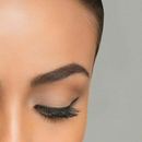 Lily Lolo - Ombre à sourcils Eyebrow Duo