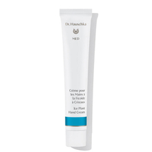 Crème pour les mains à la Ficoïde à cristaux Dr. Hauschka Med - Crème pour les mains à la Ficoïde à cristaux