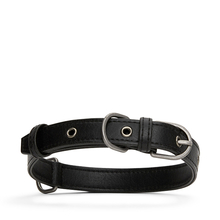 Collier pour chien London - Noir Matt & Nat - Collier pour chien London vegan noir