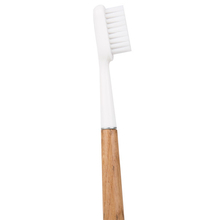 Brosse à dents en chêne Caliquo - Brosse à dents en chêne