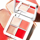 RMS Beauty - Palette lip2cheek glow quad mini