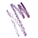 Ere Perez - Jojoba Eye Pencil - Crayon pour les yeux violet Agate