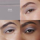 ILIA - Ombre à paupières mat Eye Tint - Dove MET-05