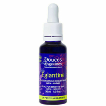 Églantine - Fluide apaisant pour peau réactive Douces Angevines - Églantine - Fluide apaisant pour peau réactive