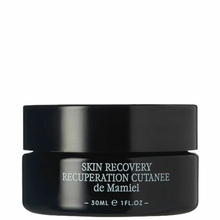 Soin Régénérant Concentré - Skin Recovery Concentrate De Mamiel - Soin Régénérant Concentré - Skin Recovery Concentrate
