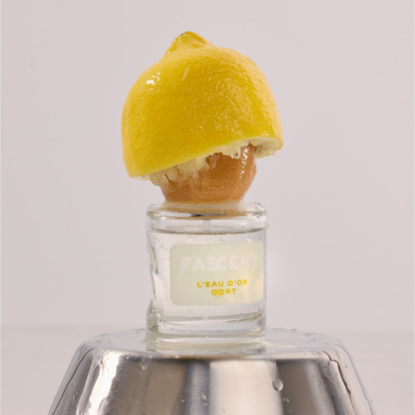 Fascent - L'Eau d'Or Dort