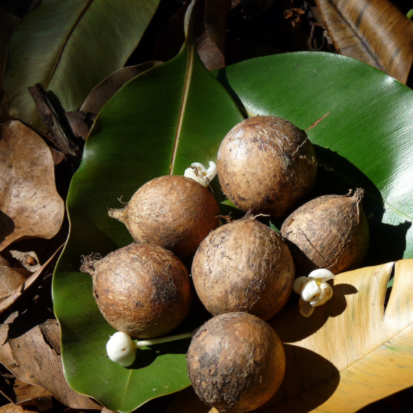 Innersense - Hydrating Hair Mask Innersense - Hydrating Hair Mask