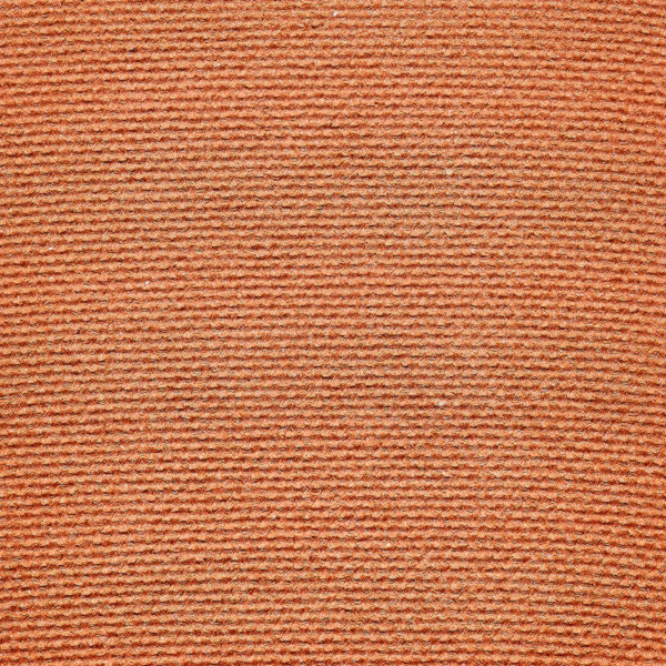 Eye of Horus - Fard à paupières Earth Eye of Horus - Fard à paupières Earth