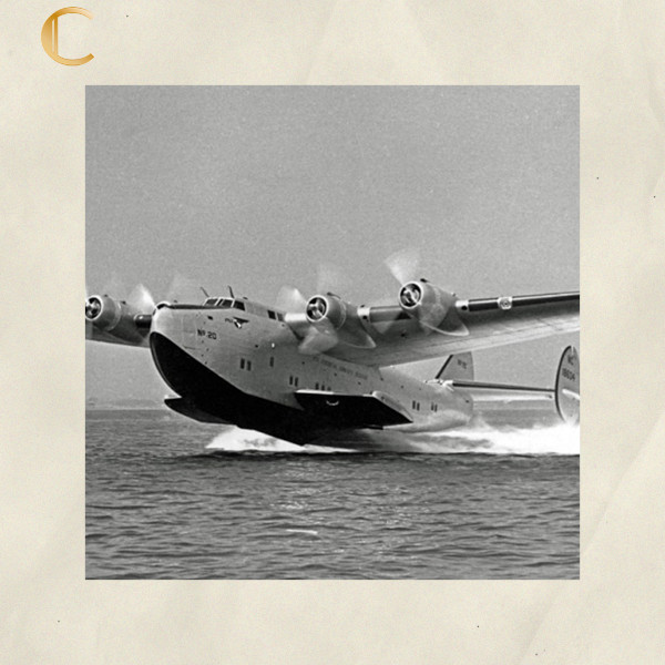 Cherigan - Iris Coffee