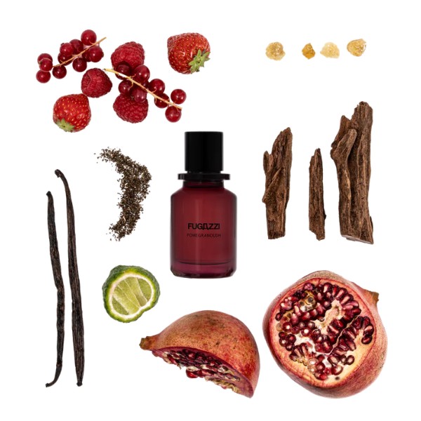 Fugazzi - Pomegranoudh Fugazzi - Pomegranoudh