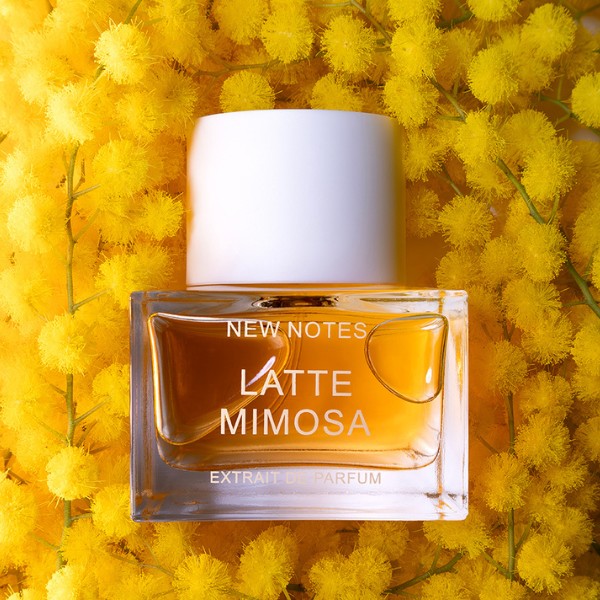 New Notes - Latte Mimosa New Notes - Latte Mimosa