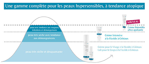  Crème Potentilla ultra-apaisante Docteur Hauschka