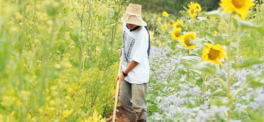 jardin-biodynamie