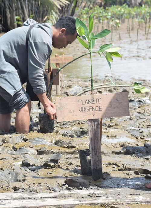 Ecocentric reforestation