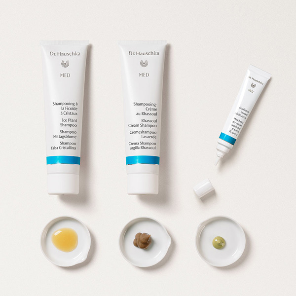 Gamme cheveux dr hauschka med
