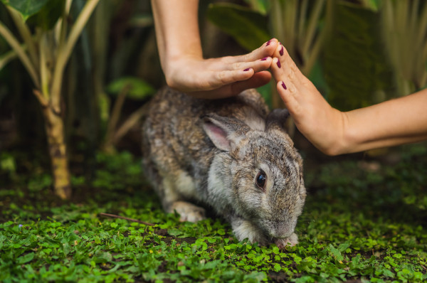 Acheter de la cosmétique cruelty free