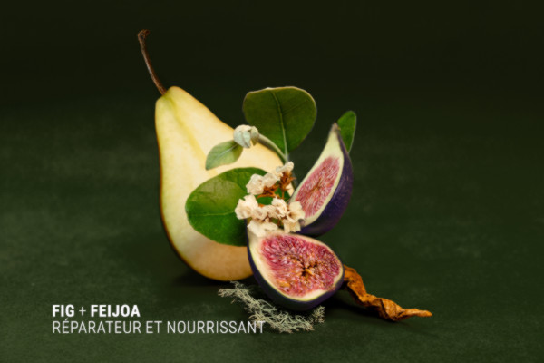 Soins pour cheveux Fig + Feijoa de la marque Antipodes