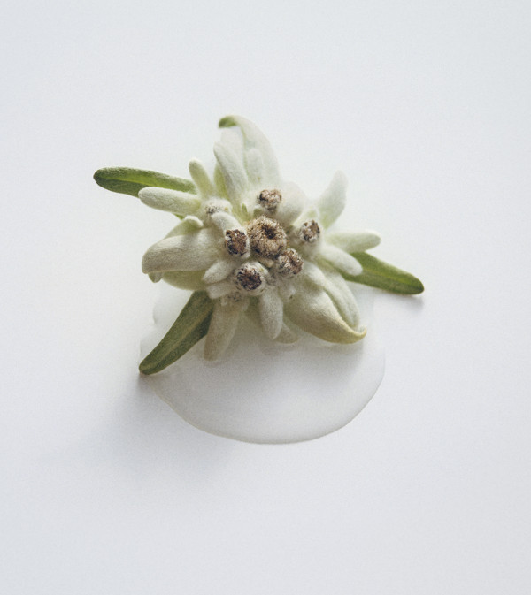 Cr&egrave;me Susanne Kaufmann &agrave; l'edelweiss et aux peptides