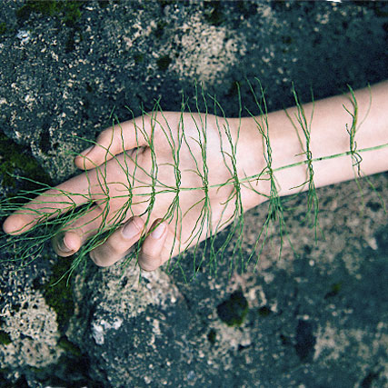 Les engagement écologiques de la marque de soins naturels Madara