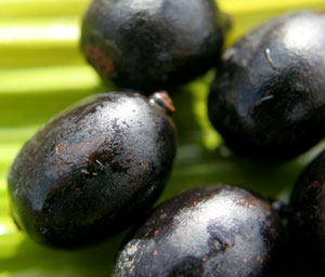 Noix d'ungurahua à l'origine de l'actif de soin naturel de la marque capillaire Rahua