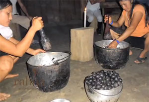 Fabrication éthique et équitable de l'huile d'ungurahua pour Rahua Amazon Beauty