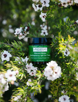 Crème de jour éclat légère au miel de Manuka Antipodes