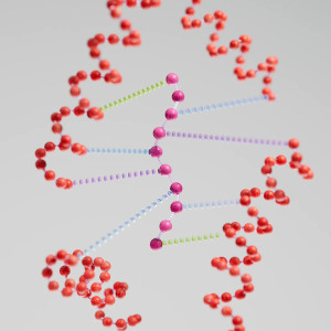 Peptide biomim&eacute;tique pour r&eacute;parer les cheveux de la marque K18